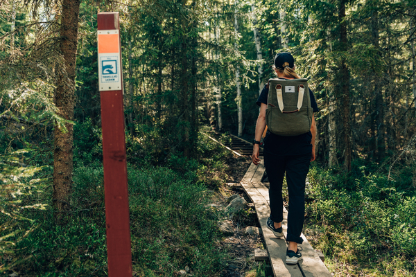 Profilbild för Tavelsjö - naturupplevelse och landsbygdsutveckling