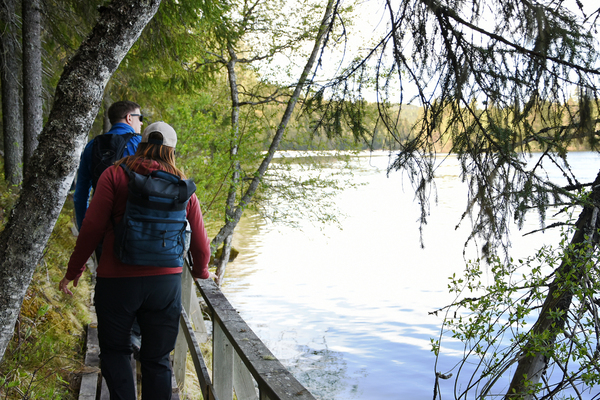 Profilbild för Vindelforsens naturreservat