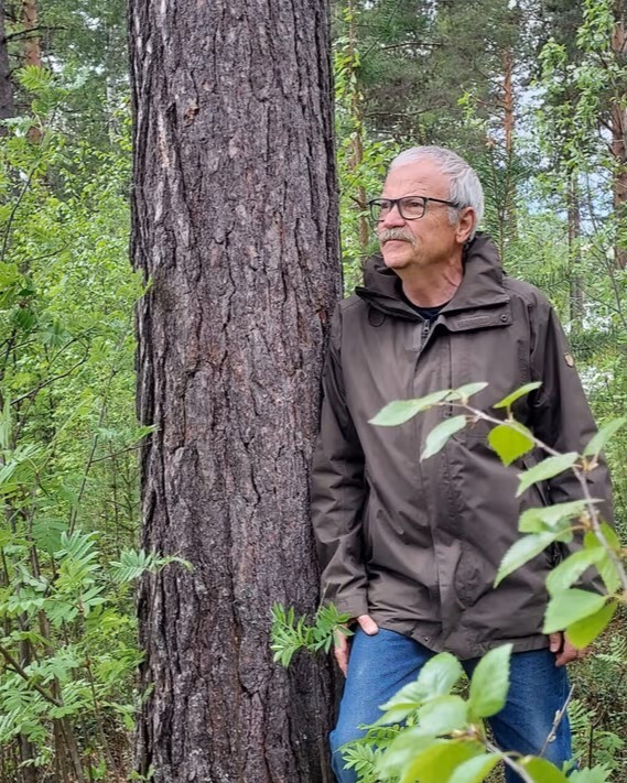 Profilbild för David Häggblad