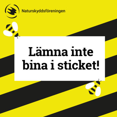 Profilbild för Tipspromenad - Rädda bina! 🐝