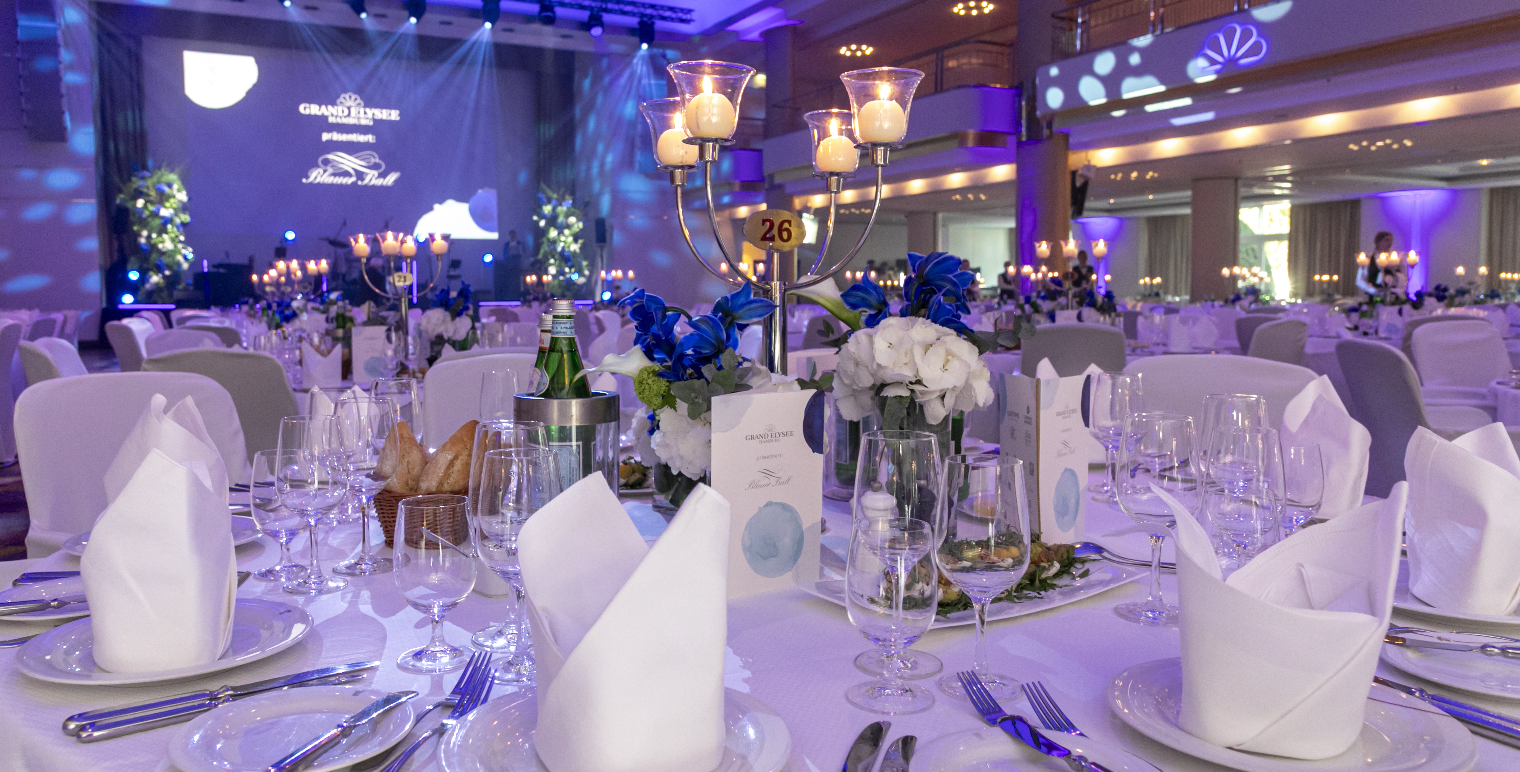 Header-Bild für 28. Blauer Ball 