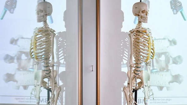 Profilbild für 3D-Druck in der rekonstruktiven Gesichtschirurgie