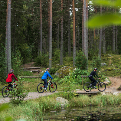 Profilbild för Guidad tur: Mountainbike, introduktion