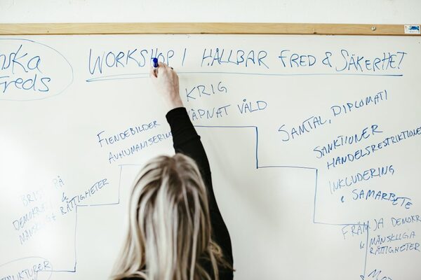 Profilbild för Workshop i hållbar fred och säkerhet