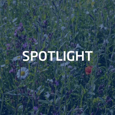 Profilbild für Spotlight Biodiversity: Vom Nachhaltigkeitsthema zum Wettbewerbsfaktor?