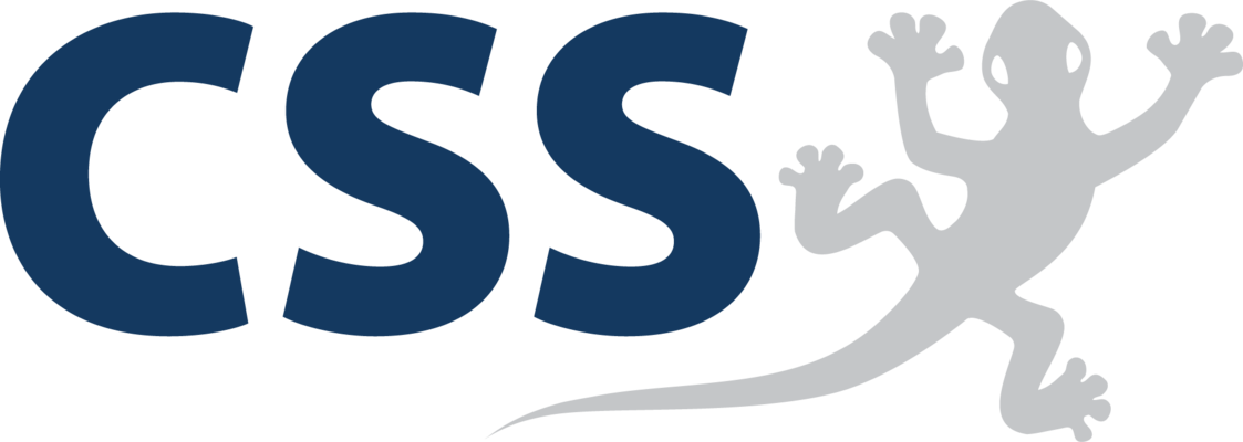 Profilbild für CSS