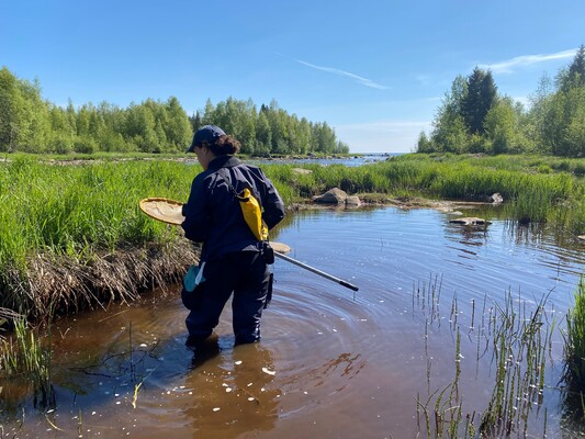 Profilbild för Familjedag i Gumboda hamn