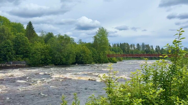 Profilbild för Vattendragsvandring vid Öreälven