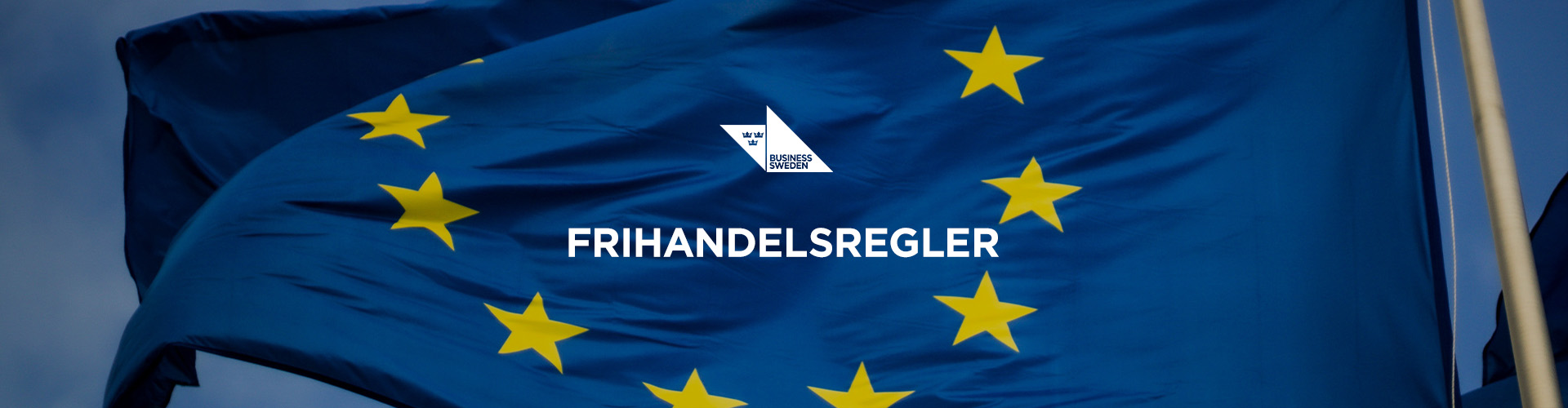 Huvudbild för Frihandelsregler - så använder du EU:s frihandelsavtal vid export och sparar pengar åt din kund