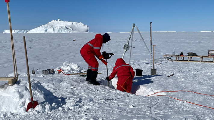 Profilbild für Forschung in der Antarktis: Wie Umweltmessungen zu Klimadaten werden