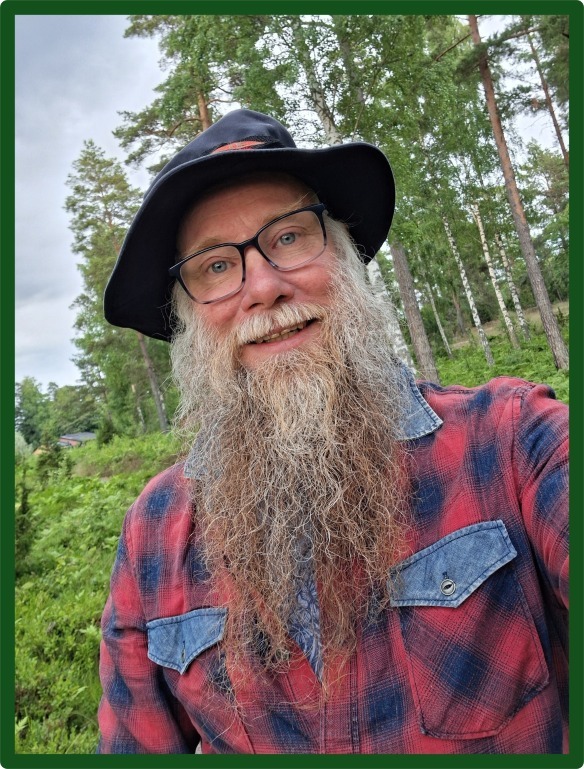 Profilbild för Magnus Bergkvist