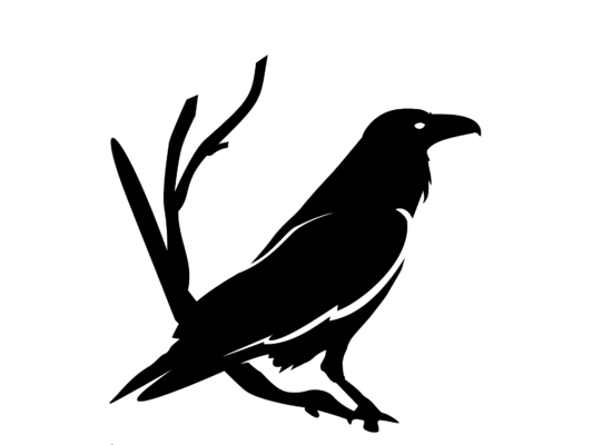 Profilbild för Corax