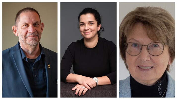 Profilbild för Nato – integration eller transformation?