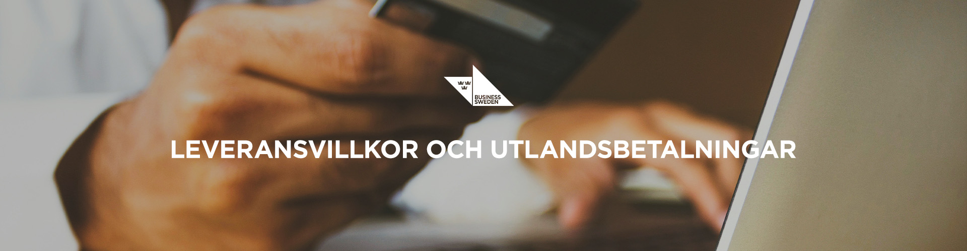 Huvudbild för Leveransvillkor & Utlandsbetalningar