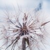 Profilbild für Fachimpuls: Andere beim Klimaschutz mitnehmen