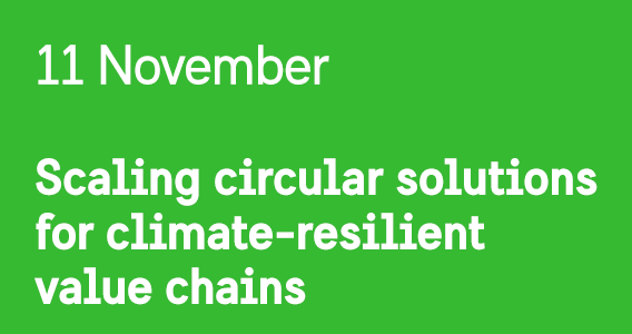 Profile image for Europe at the Crossroads - detox or delay?
